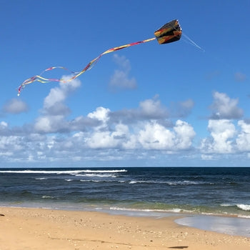 Tie Dye Parafoil Kite