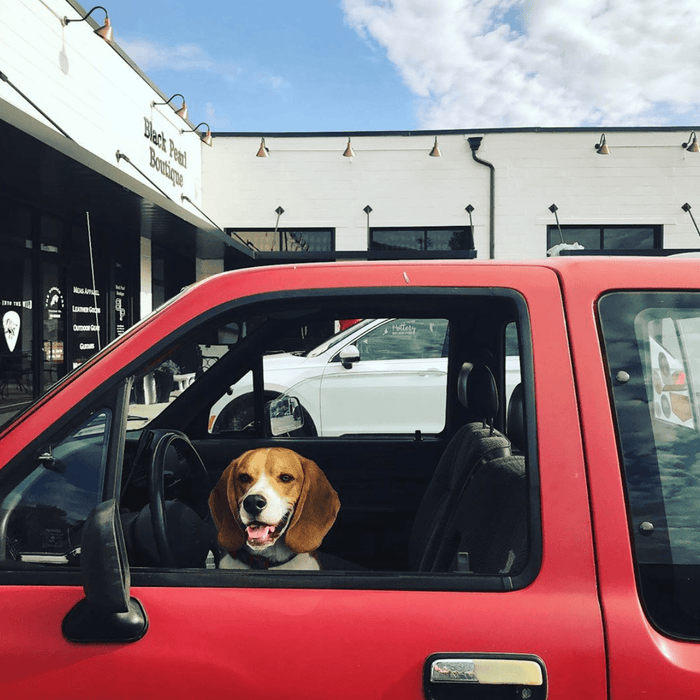 June 19th Weekly Favorites - Needle and Grain