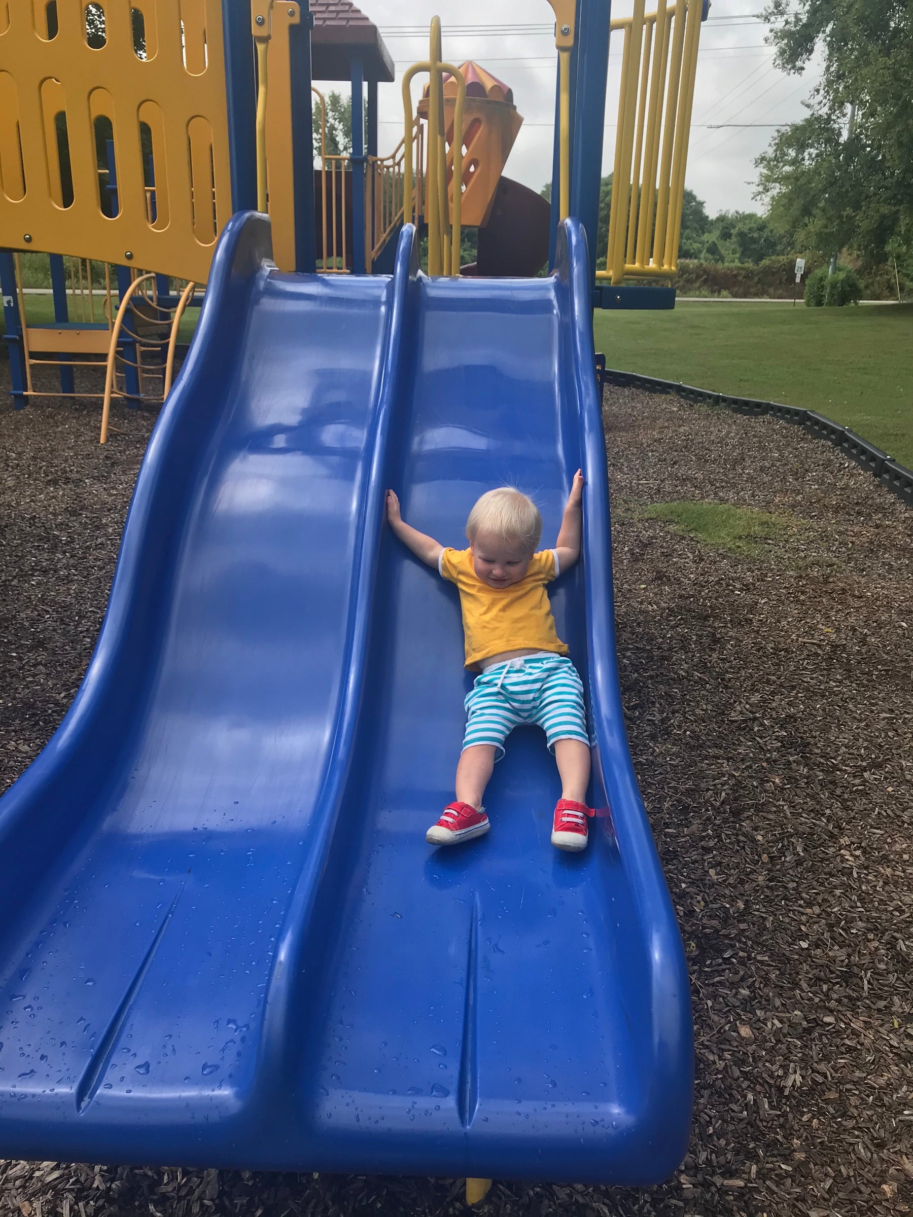 Weekly Favorites - August 19 - Needle and Grain