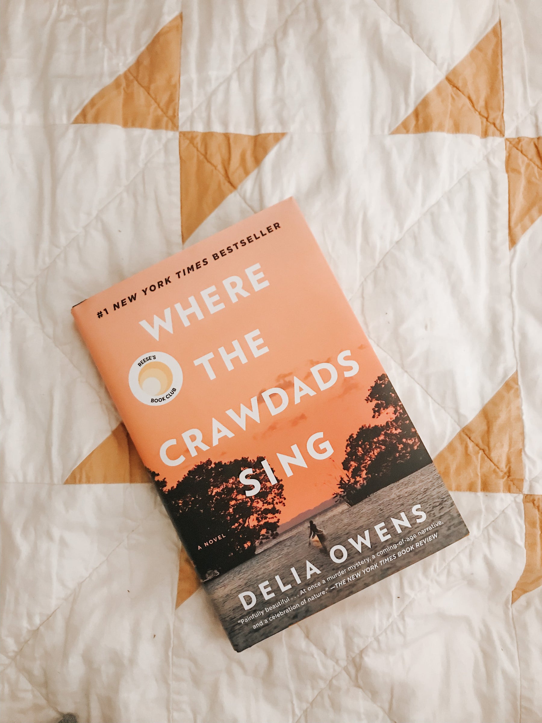 Weekly Favorites - February 19 - Needle and Grain