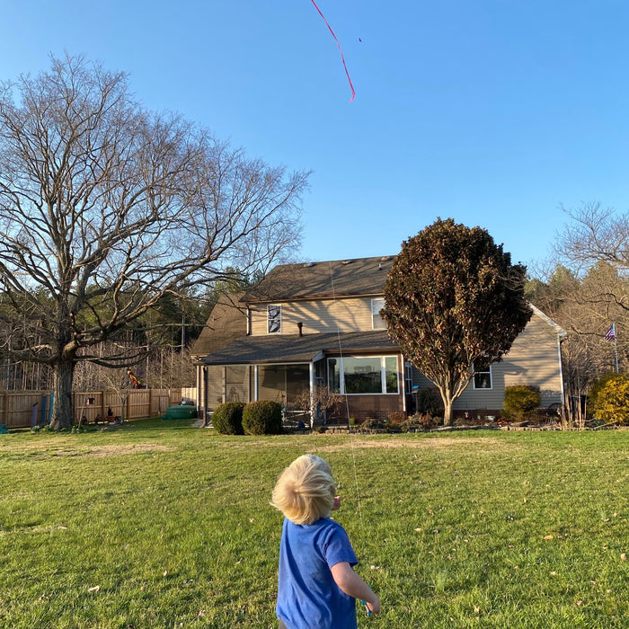 Weekly Favorites - February 27 - Needle and Grain