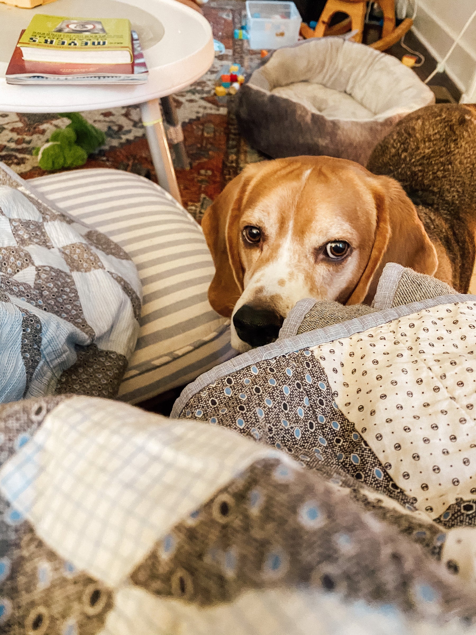 Weekly Favorites - February 4 - Needle and Grain