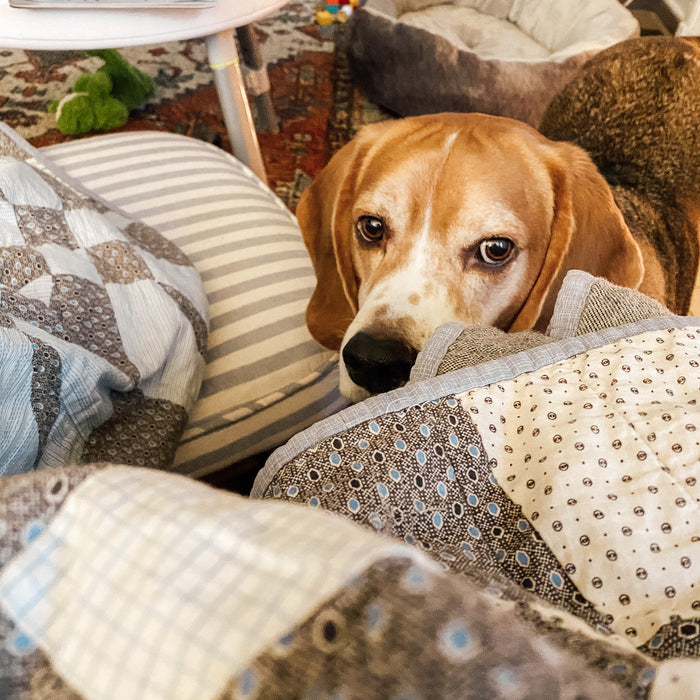 Weekly Favorites - February 4 - Needle and Grain