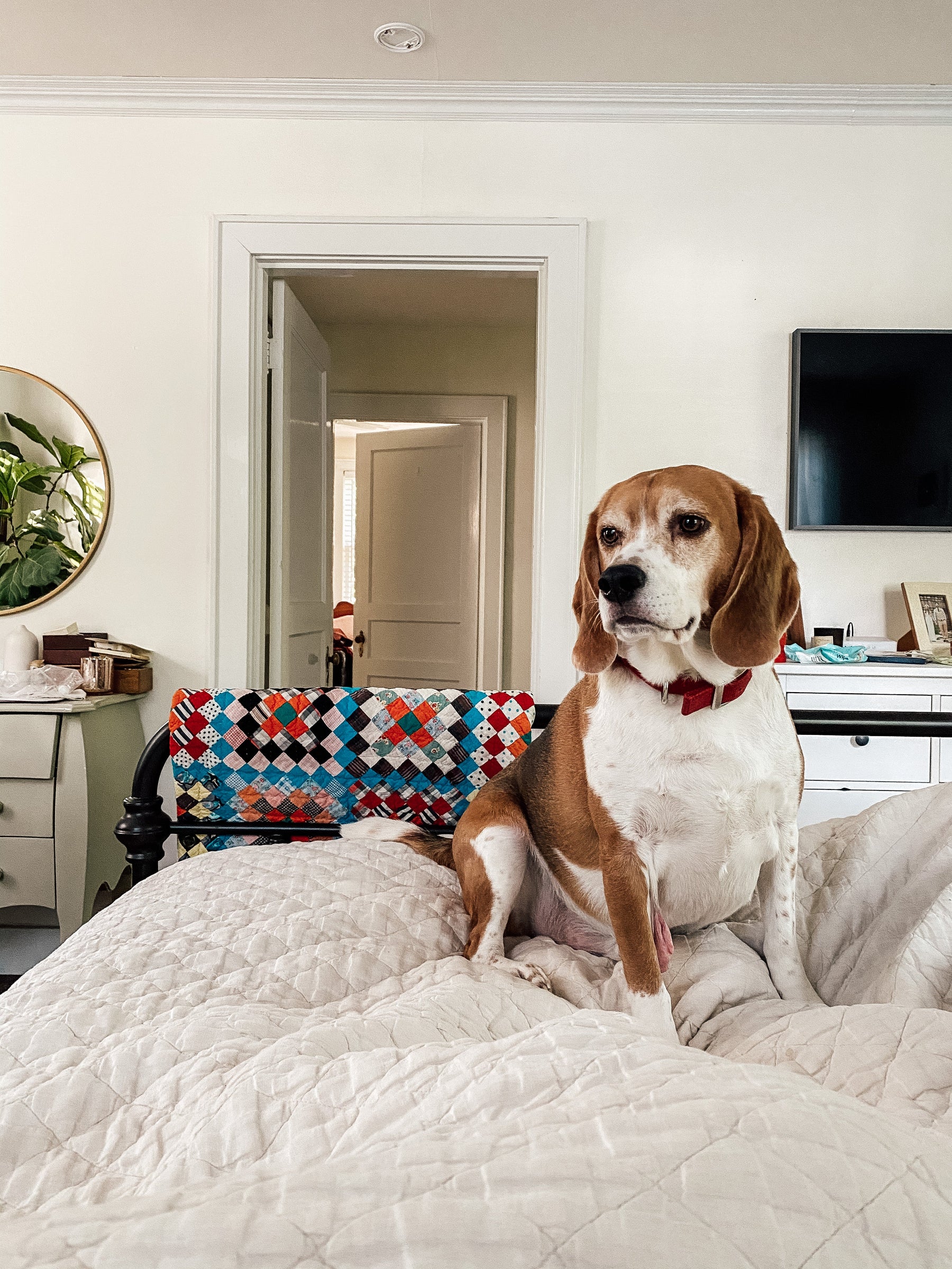 Weekly Favorites - June 9 - Needle and Grain