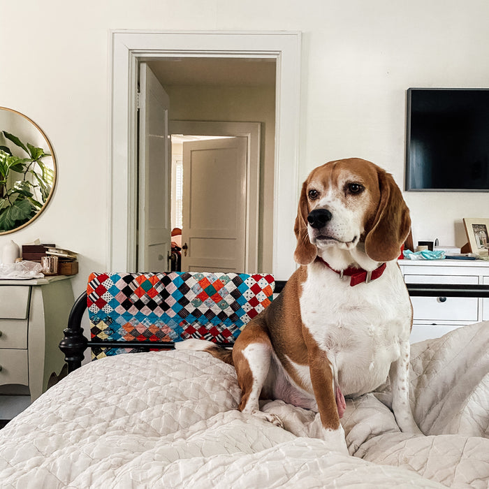 Weekly Favorites - June 9 - Needle and Grain