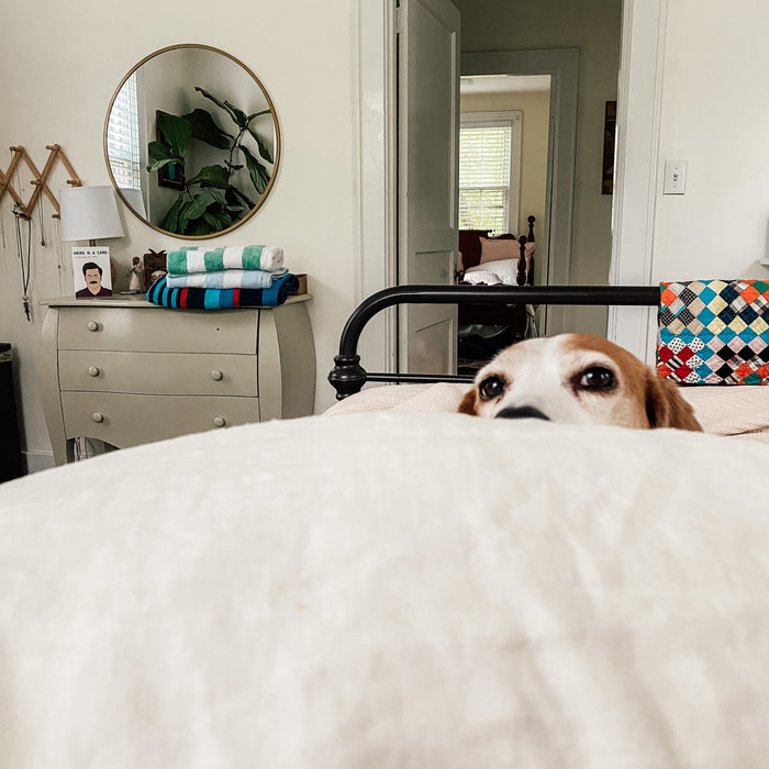 Weekly Favorites - May 11 - Needle and Grain