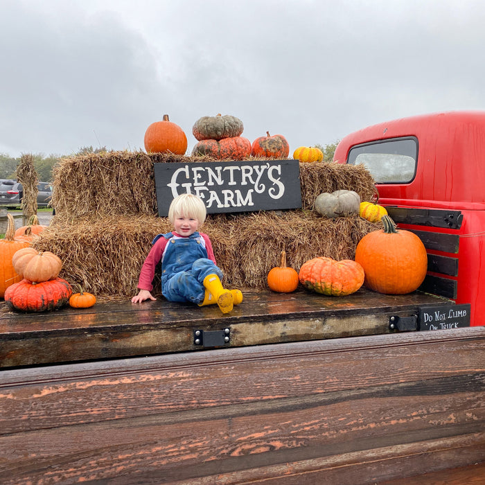 Weekly Favorites - November 3 - Needle and Grain