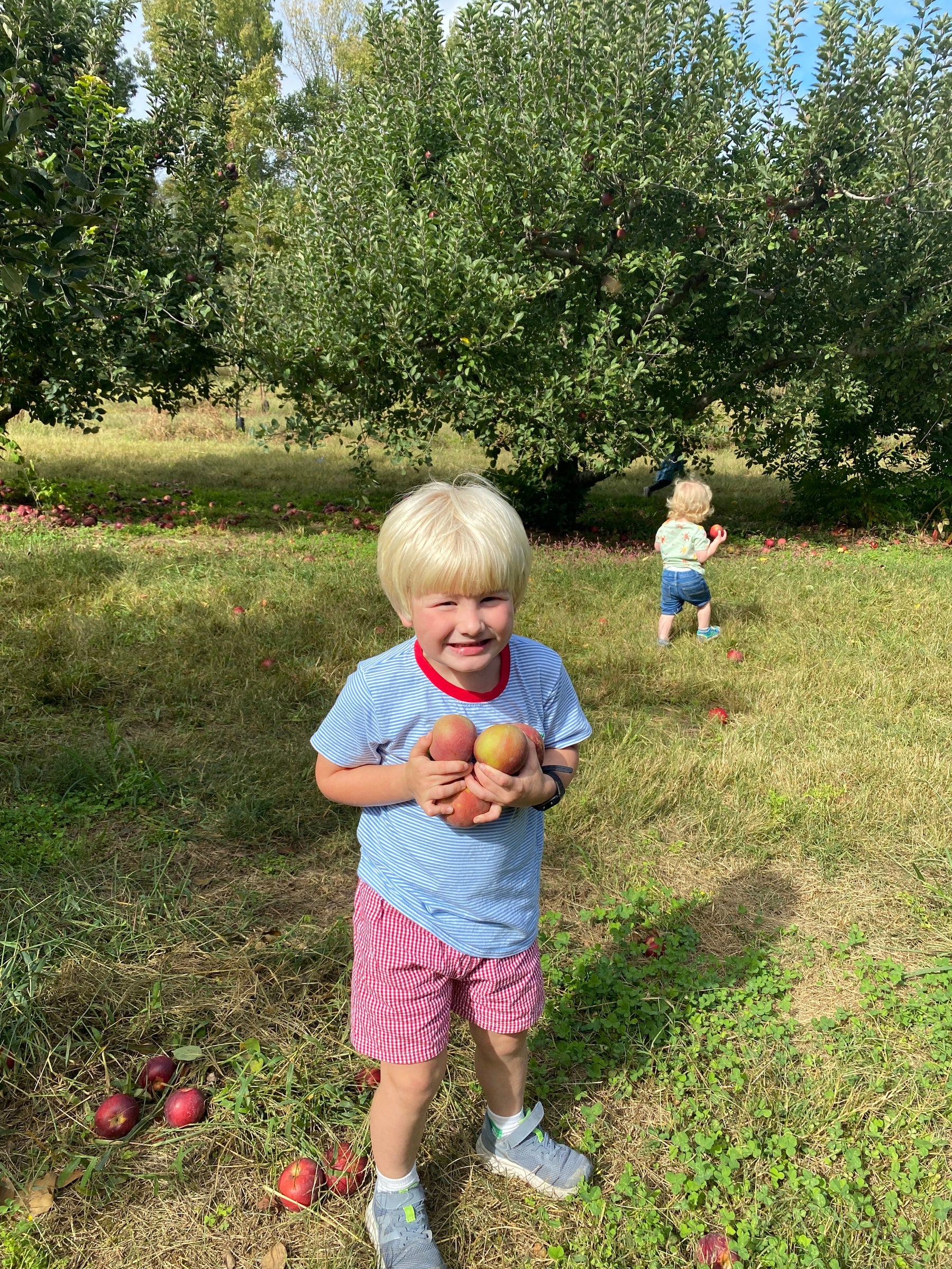 Weekly Favorites - October 18 - Needle and Grain