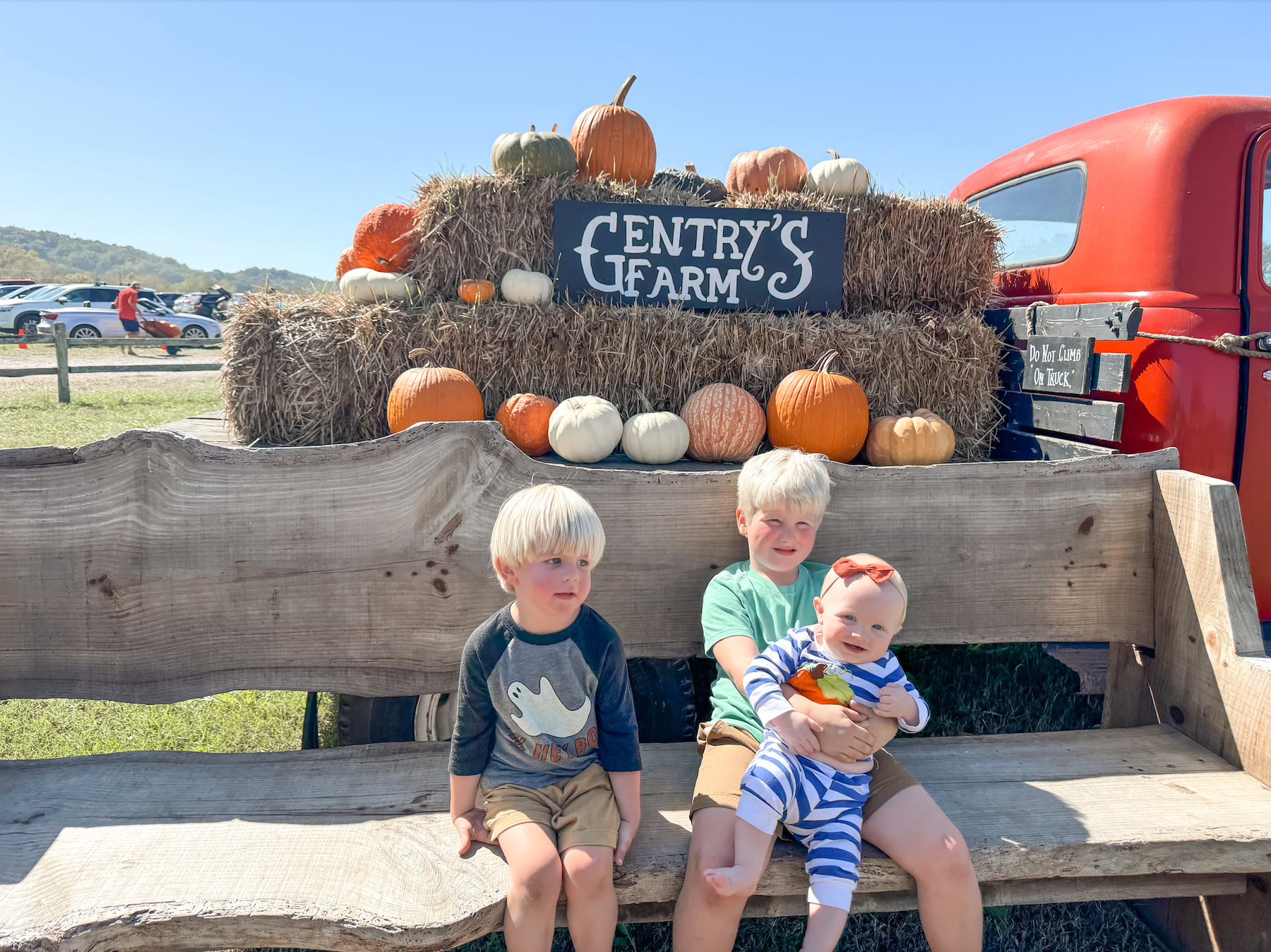 Weekly Favorites - October 24 - Needle and Grain