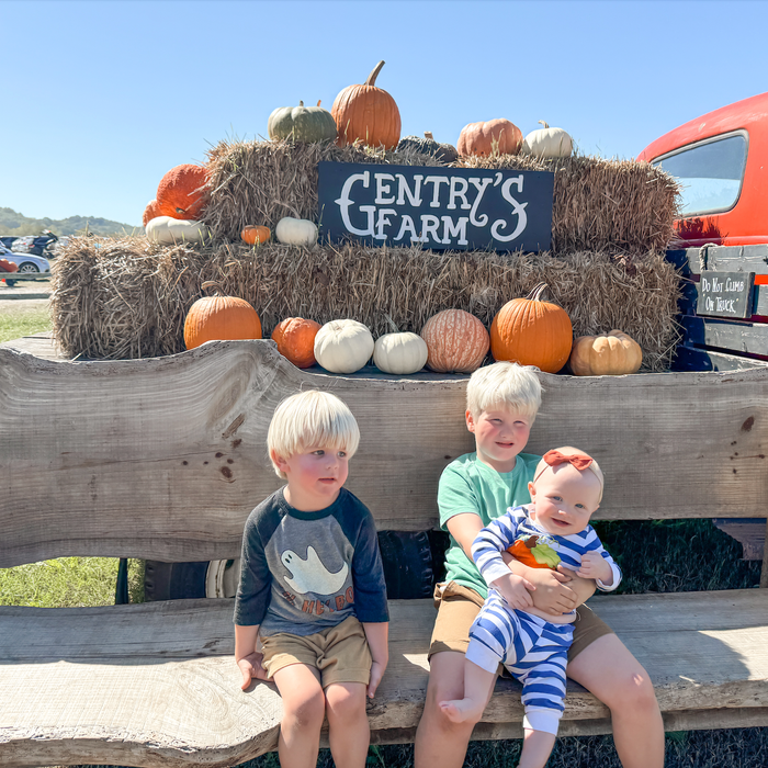 Weekly Favorites - October 24 - Needle and Grain