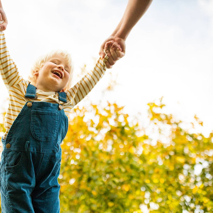 Weekly Favorites - October 27 - Needle and Grain