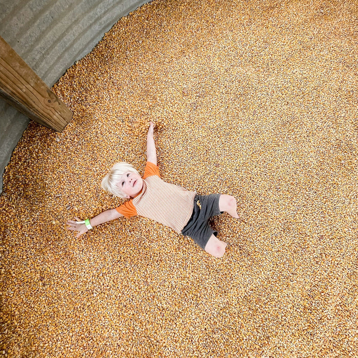 Weekly Favorites - October 6 - Needle and Grain