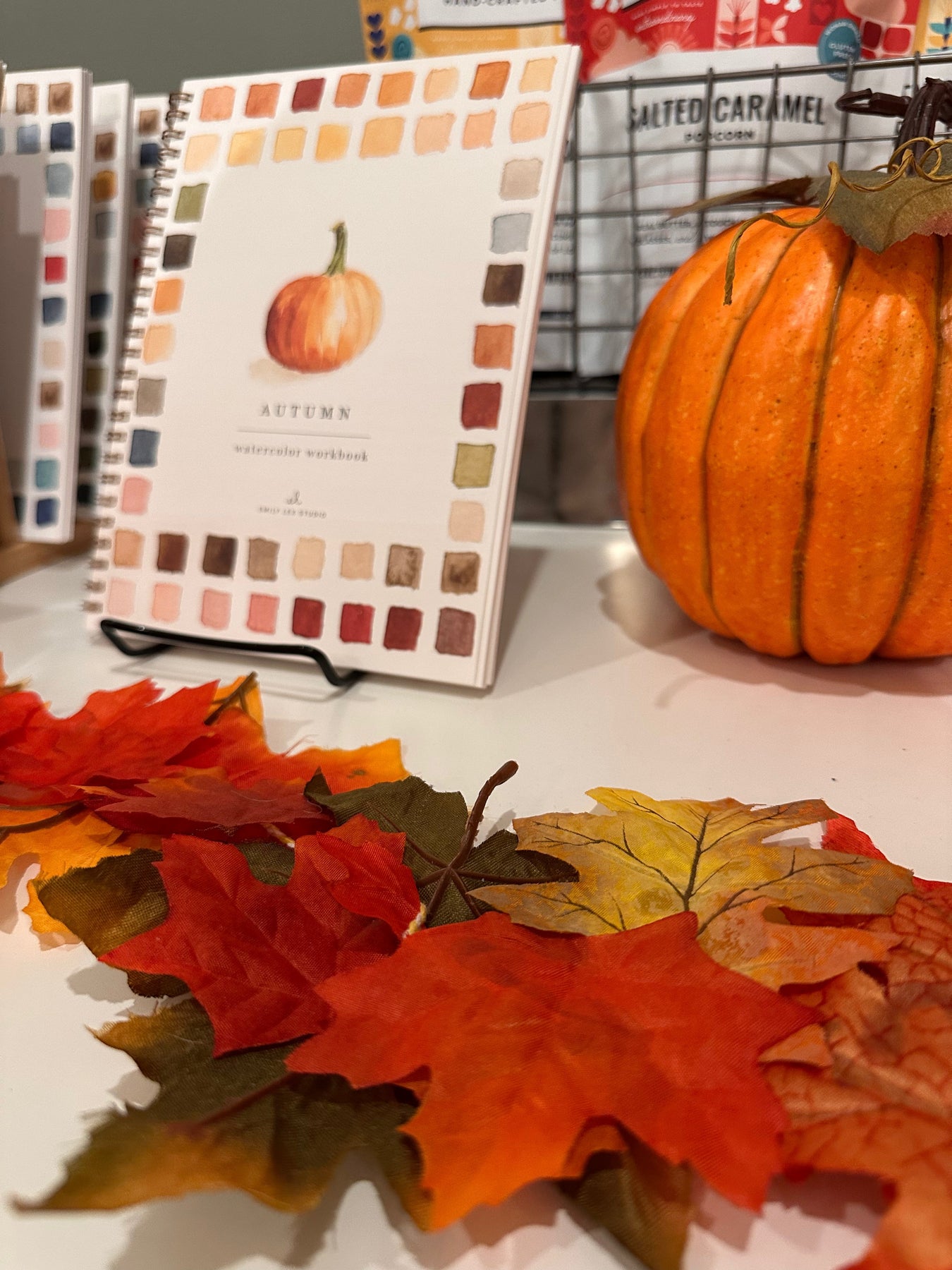 Fall Collection 2026 - Needle and Grain