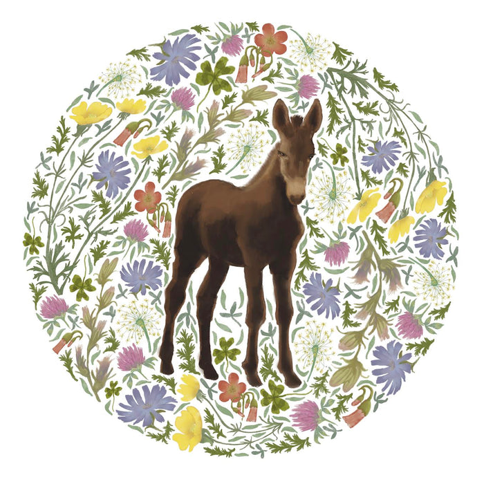 Baby Mule Print