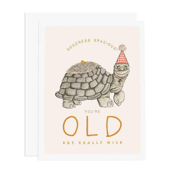 Old Turtle Birthday Card