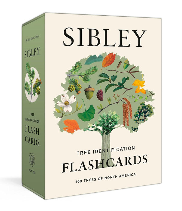 Sibley Tree Identification Flashcards: 100 Trees of North America Cards