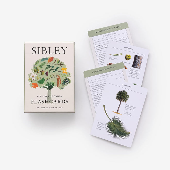 Sibley Tree Identification Flashcards: 100 Trees of North America Cards