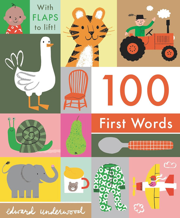 100  First Words Book