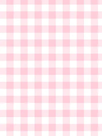 Pink Gingham Bamboo Dress