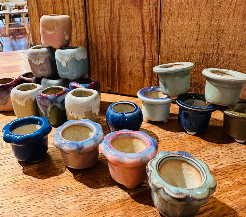 Assorted Mini Plant Pottery