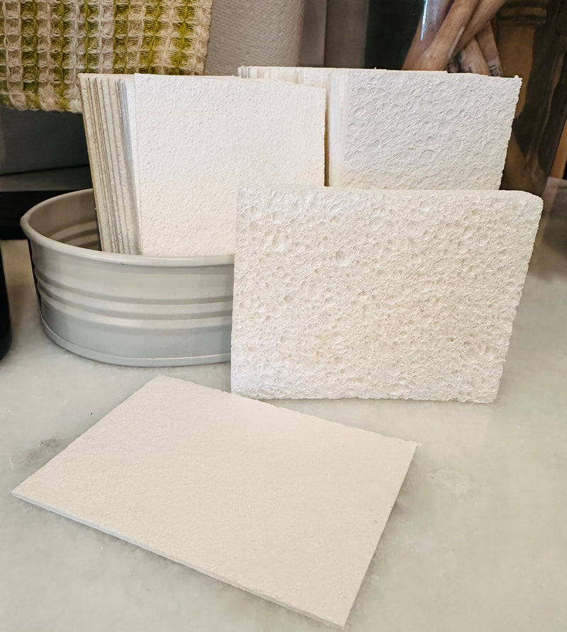 Compostable Pop-Up Sponge