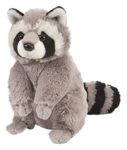 CK Raccoon Stuffed Animal 12" - Needle and Grain