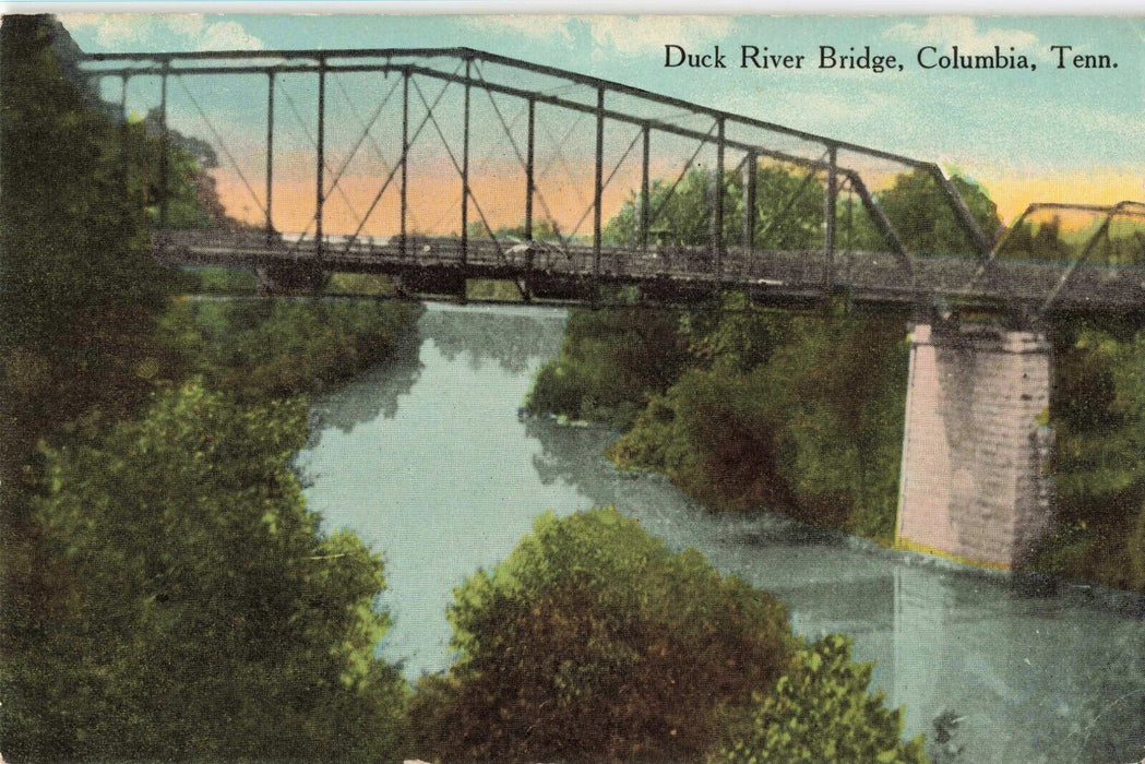 Vintage Duck River Postcard Reproduction