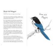 Dumb Birds Field Guide To the Worst Birds Ever - Needle and Grain