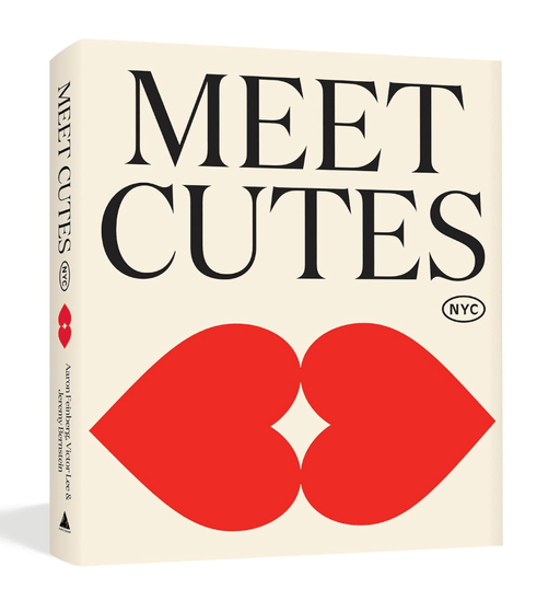 Meet Cutes NYC: True Stories of Love and Connection - Needle and Grain