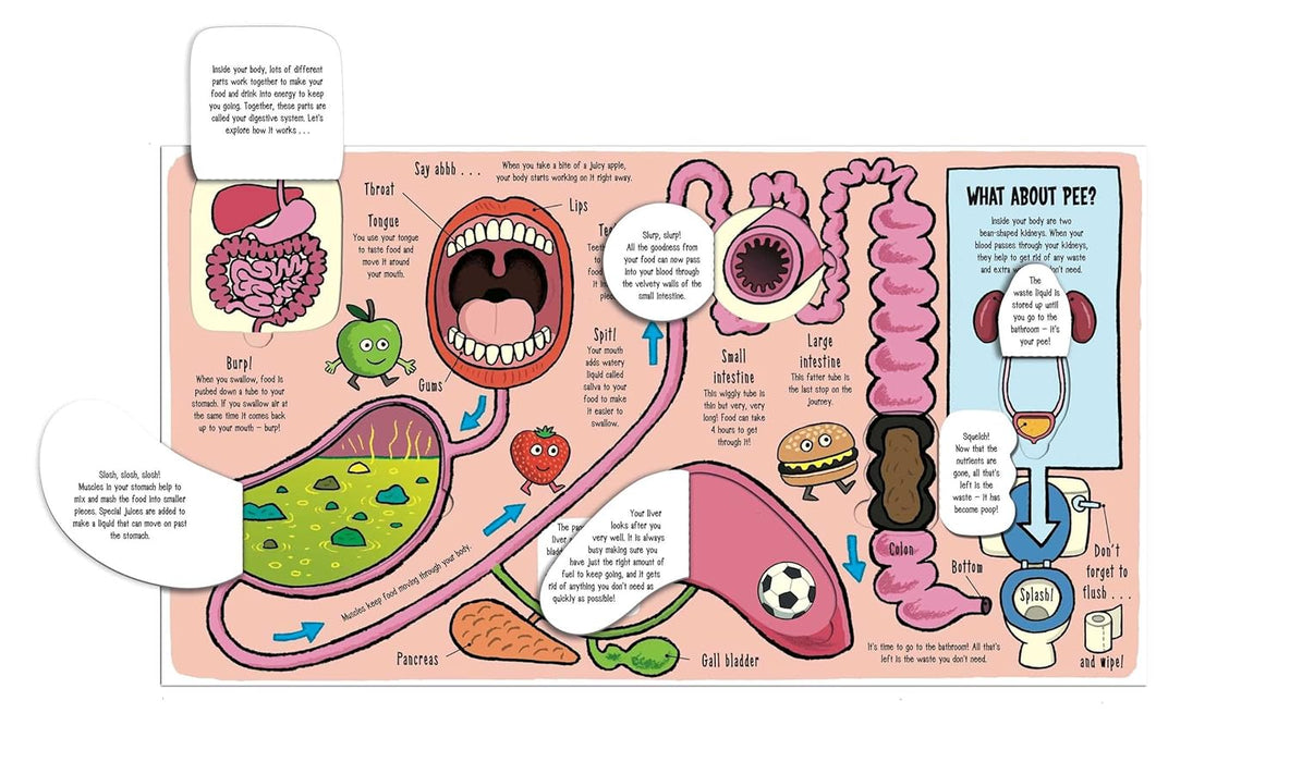 Little Explorers: My Amazing Body