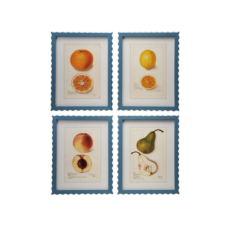 Scalloped Framed Fruits - Needle and Grain