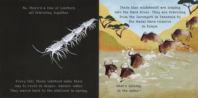 Shine - A - Light: Animal Journeys - Needle and Grain