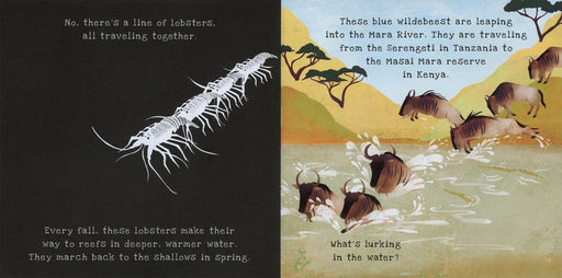 Shine - A - Light: Animal Journeys - Needle and Grain