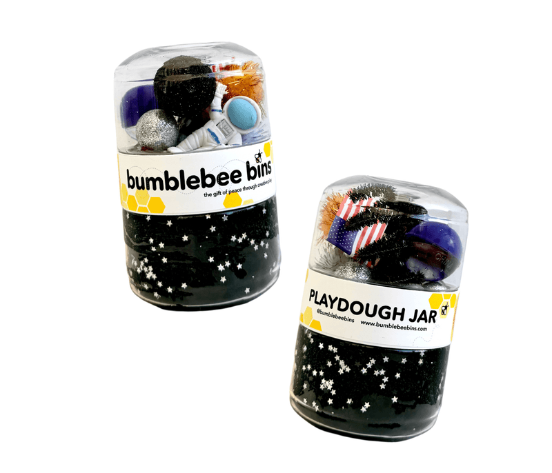 Space Bumblebee Bin - Needle and Grain