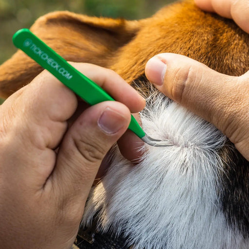 TickCheck Premium Tick Remover - Needle and Grain