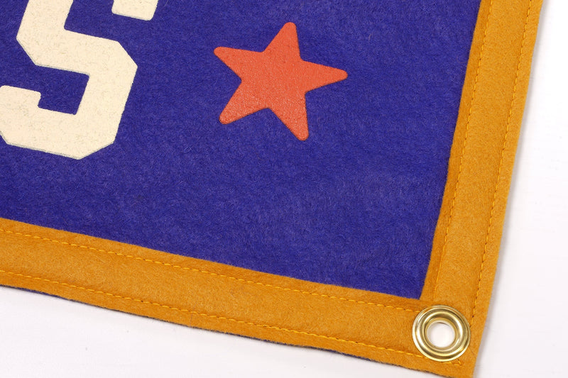 Write Your Own Songs Camp Flag • Willie Nelson x Oxford Pennant - Needle and Grain