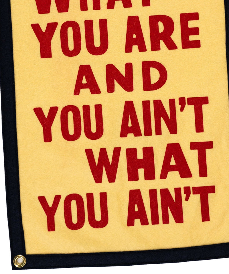You Are What You Are Camp Flag • John Prine x Oxford Pennant - Needle and Grain
