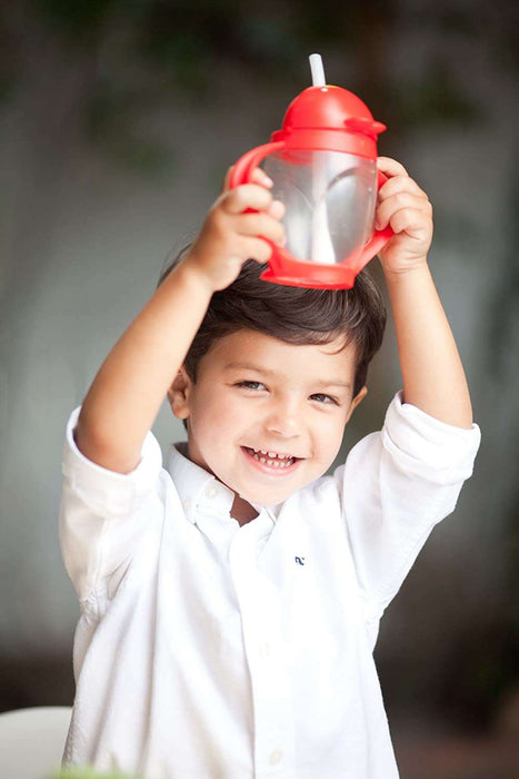 Lollacup Straw Sippy Cup