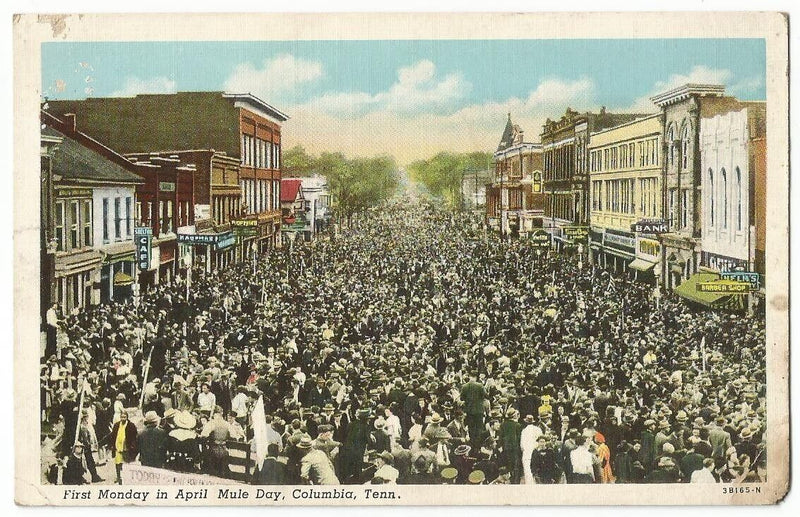 Antique Columbia Mule Market Postcard - horizontal Reproduction - Needle and Grain