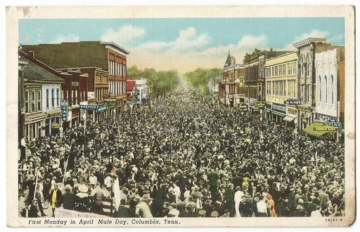 Antique Columbia Mule Market Postcard - horizontal Reproduction - Needle and Grain