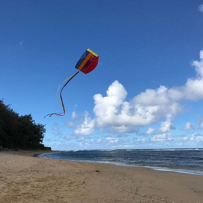 Rainbow Pouch Parafoil Kite