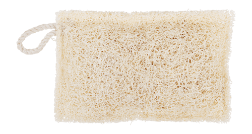 Loofah Dish Sponge - Needle and Grain