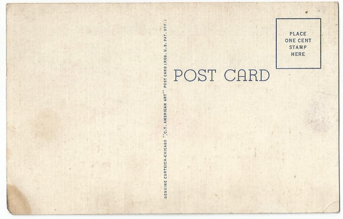 Antique Columbia Mule Market Postcard - horizontal Reproduction